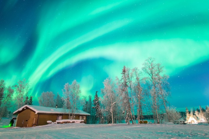 公牛纪念罗,斯球衣,战胜尼克斯,新葡京娱乐平台,澳门新葡京娱乐城,新葡京博彩官网