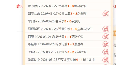 “全球马拉松赛事汇聚，共展‘地球村’魅力——中国新闻网讯”