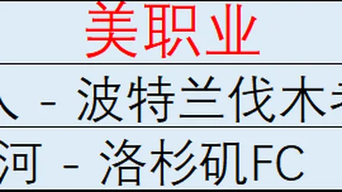 切尔西新帅澳门新葡京娱乐城：萨特帕耶夫力压德拉普，成球队稳定基石